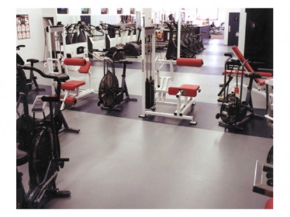 Rubber Paver Flooring - <p><span style="font-family: 'Angsana New','serif'; font-size: 16pt; mso-bidi-font-size: 12.0pt; mso-fareast-font-family: 'Times New Roman'; mso-fareast-theme-font: minor-fareast; mso-bidi-font-family: 'Lucida Sans Unicode'; mso-ansi-language: EN-US; mso-fareast-language: EN-US; mso-bidi-language: AR-SA;">Fitness Mat is a high-quality use in fitness centers, gyms and other high-stress applications.</span></p>